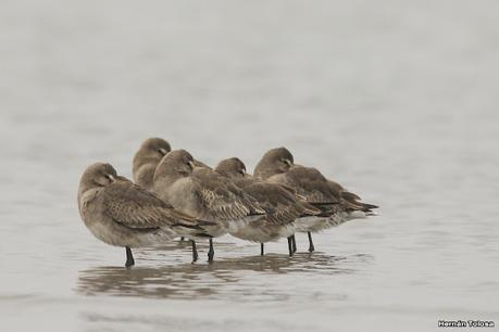 Visitando Balneario Los Pocitos