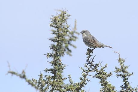 Visitando Balneario Los Pocitos