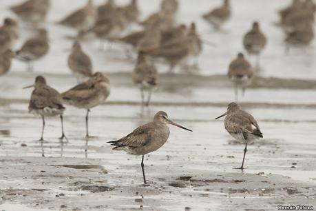 Visitando Balneario Los Pocitos