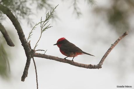 Visitando Balneario Los Pocitos