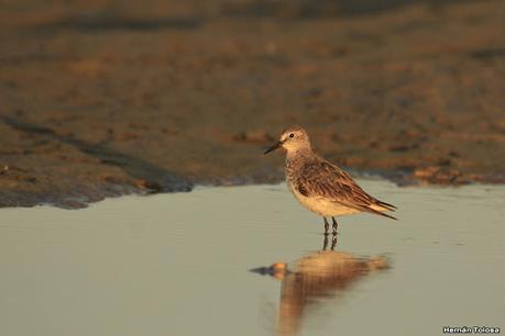 Visitando Balneario Los Pocitos