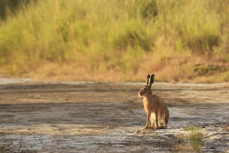 Visitando Balneario Los Pocitos