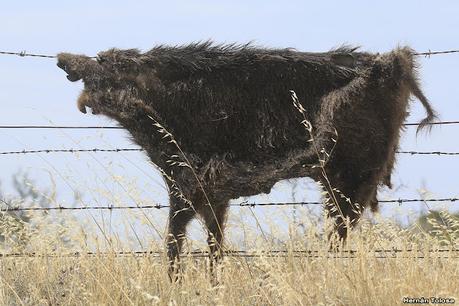 Visitando Balneario Los Pocitos