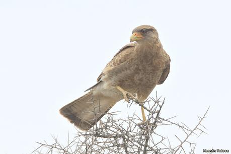 Visitando Balneario Los Pocitos