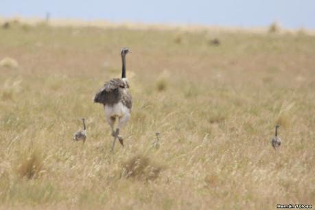 Visitando Balneario Los Pocitos