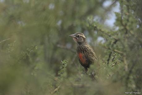Visitando Balneario Los Pocitos