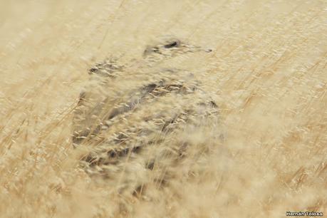 Visitando Balneario Los Pocitos