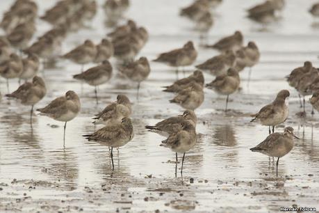 Visitando Balneario Los Pocitos