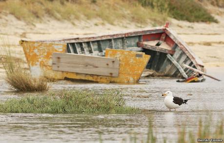 Visitando Balneario Los Pocitos