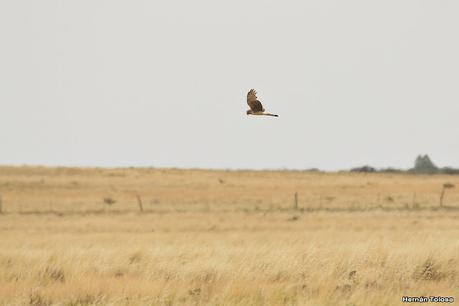Visitando Balneario Los Pocitos