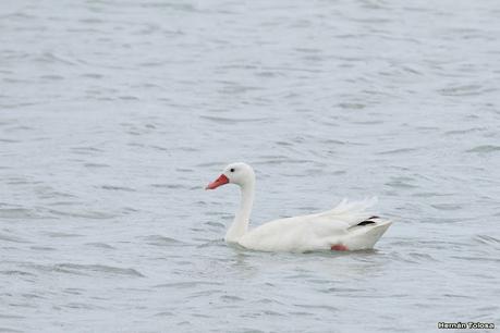 Visitando Balneario Los Pocitos
