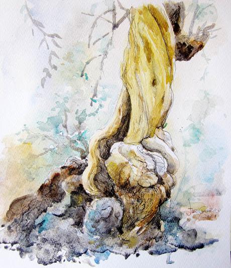 Dibujos y acuarelas - Noviembre 2021