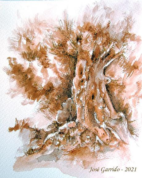 Dibujos y acuarelas - Noviembre 2021