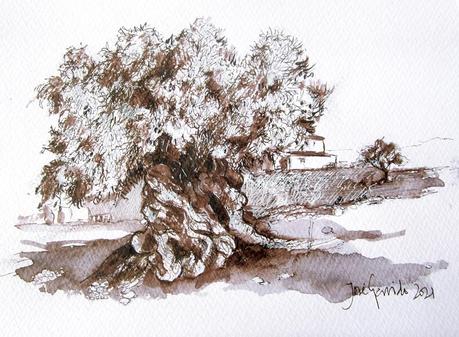 Dibujos y acuarelas - Noviembre 2021