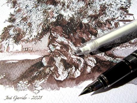 Dibujos y acuarelas - Noviembre 2021