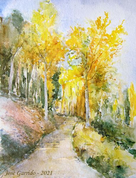 Dibujos y acuarelas - Noviembre 2021