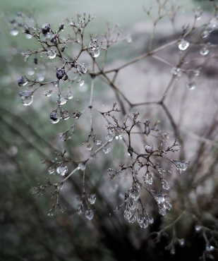 El final del otoño.