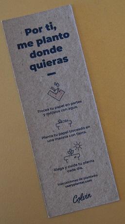 BIRCHBOX “Let Yourself Grow” de Noviembre 2021