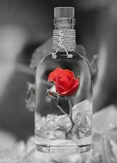 4.781 - ROSA DE SEDA... 4.781 - ROSA DE SEDA...