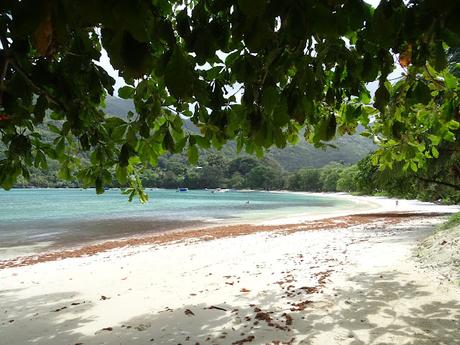 SEYCHELLES: LAS PLAYAS DEL NORTE DE MAHE SEYCHELLES: LAS PLAYAS DEL NORTE DE MAHE