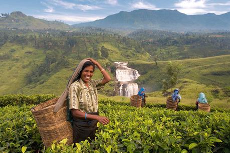 Tu Luna de Miel a medida 2022 sri lanka 900x600 1