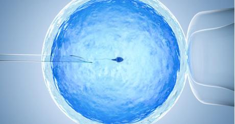 Últimos avances en los tratamientos de infertilidad utilizando células madre