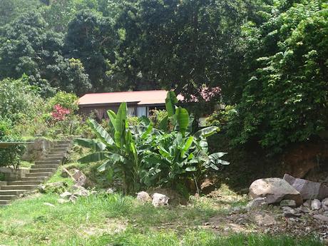 SEYCHELLES: LA PLAYA DE ANSE GEORGETTE EN PRASLIN Y EL CAMPO DE GOLF LEMURIA SEYCHELLES: LA PLAYA DE ANSE GEORGETTE EN PRASLIN Y EL CAMPO DE GOLF LEMURIA