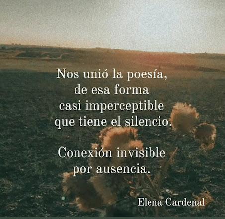 Elena Cardenal. Poesía.