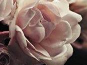 Flores ático, Andrews