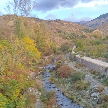 Pérdida gestacional: Consejos realistas para afrontar esta situación, o para ayudar a quien la afronte 02