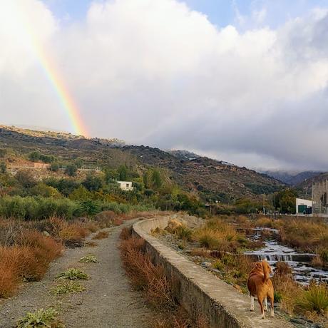 Pérdida gestacional: Consejos realistas para afrontar esta situación, o para ayudar a quien la afronte 04