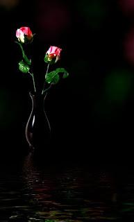 4.786 - AQUELLAS ROSAS... 4.786 - AQUELLAS ROSAS...