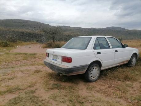 Denuncia extracción de cactáceas a las faldas de la Sierra de San Miguelito