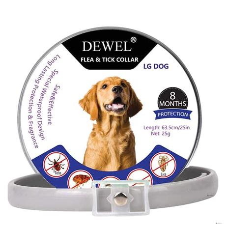 Collar Scalibor Carrefour ▷▷ Justo el que buscas Collar Scalibor Carrefour ▷▷ Justo el que buscas