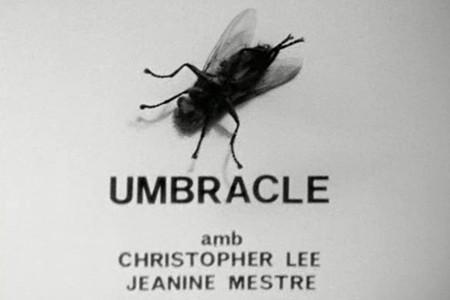 UMBRACLE - Pere Portabella