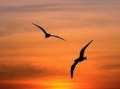 4.792 pedir perdón...