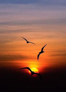 4.792 - PEDIR PERDÓN... 4.792 - PEDIR PERDÓN...