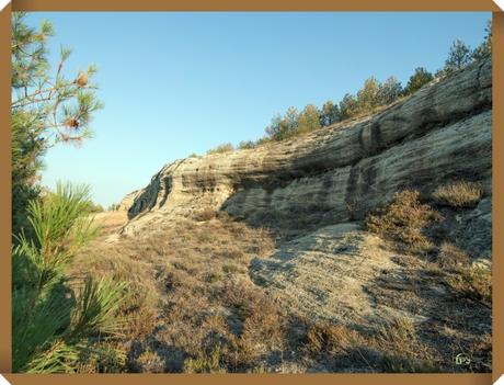 Ermita de San Pelayo, Villacibio