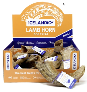 Cuernos oveja islandesa como 