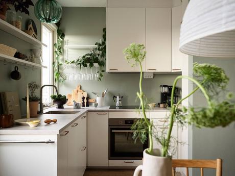 delikatissen vintage verde empolvado scandinavian tiny kitchen scandi green pintura verde cocina paredes verdes green kitchen estilo nórdico colores decoración verde cosy kitchen cosy decor  