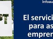 ¿Conoces servicio gratuito para asesorar «emprendedores verdes»?