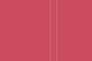 Noon la hilandera – R.G. Martin Noon la hilandera – R.G. Martin