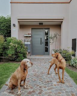 Puerta de entrada pintada de gris: Bienvenidos!