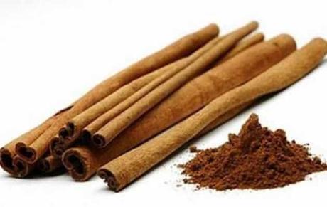 La Canela y sus Propiedades