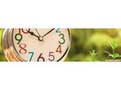 Todo tienes saber antes contratar seguro rentas