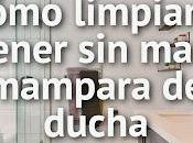 Cómo Limpiar Mantener Manchas Mampara Ducha