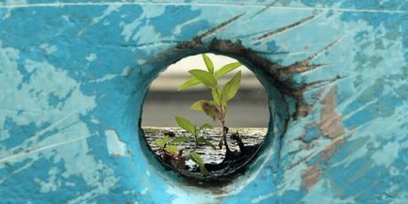 ¿Qué nos hace realmente resilientes? ¿Qué nos hace realmente resilientes?