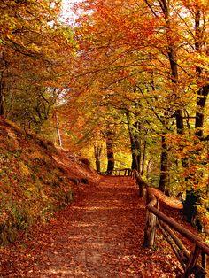 4.798 - SOLOS LOS DOS...