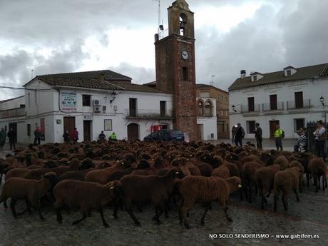 Trasterminancia 2021