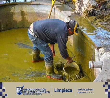 Limpian el lago de los patos de la Alameda